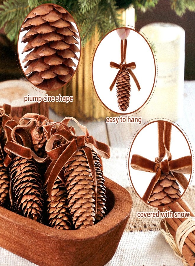 Motionchic 24 Pcs Christmas Spruce Pine Cones Ornaments for Christmas Tree Bulk with Velvet Ribbon 1.6"-2.4" Natural Rustic Large Long Pinecone Hanging for Thanksgiving Holiday Winter Gift Decoration - Image 3